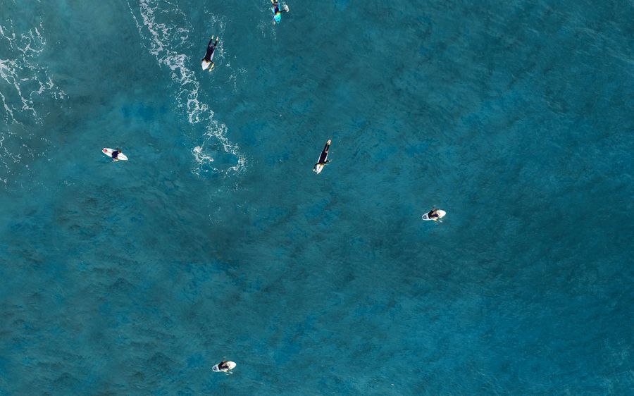 surfers in sea