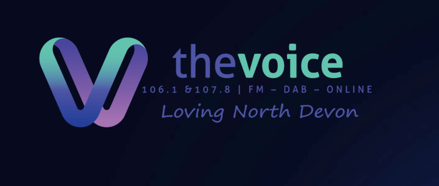 the voice logo